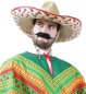 Preview: Erwachsenenkostüm Poncho in Grün Mexikaner