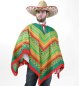 Preview: Erwachsenenkostüm Poncho in Grün Mexikaner