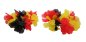 Preview: Hawaii_Set_Deutschland_4