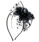 Preview: Haarreif Fashion, sortierte Farben, Haarreif, Party, Karneval, Accessoire