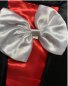 Preview: Kinder-Kostüm "Mausi" Kleid und Gürtel schwarz rot weiße Punkte Mäuschen