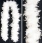 Preview: federboa_edel_60g_weiss