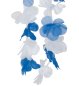 Preview: Detailaufnahme der blau-weißen Blüten der Hawaiikette