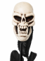 Preview: Detailaufnahme des Totenkopfs der schwarzen Halloween Horror-Rose