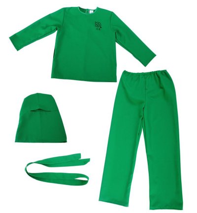 Kinderkostüm Green Ninja, Fasching, Karneval, Maskenumzug