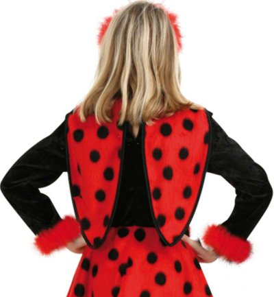 Kinderkostüm Marienkäfer Kleid mit Flügeln in schwarz-rot Glückskäfer Samtoptik