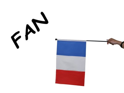 Flagge Frankreich, ca. 30 x 45 cm, WM, EM
