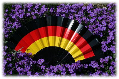 Fächer FAN, Deutschland, Accessoire, Fußball, WM, EM