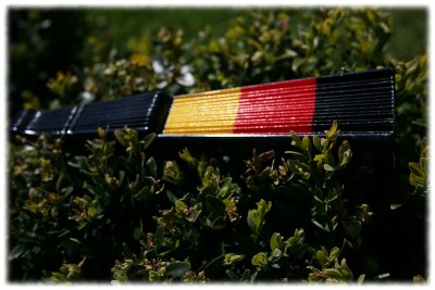 Fächer FAN, Deutschland, Accessoire, Fußball, WM, EM