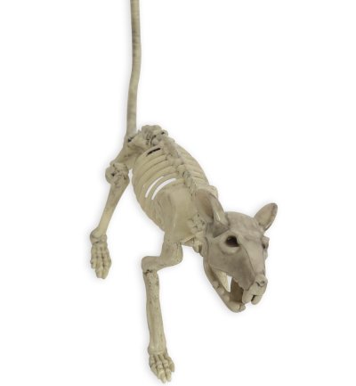 Ratten Fossil Deko Halloween Grusel Nagetier Skelett Knochengerüst außergewöhnlich erschreckend