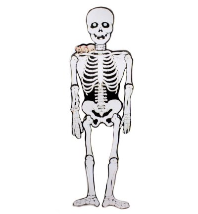 Bewegliches Deko Skelett, ca. 140cm, Halloween