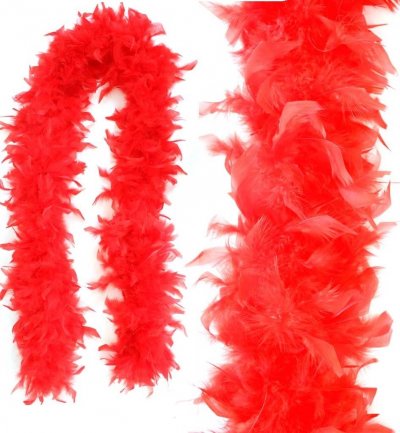 federboa_edel_80g_rot