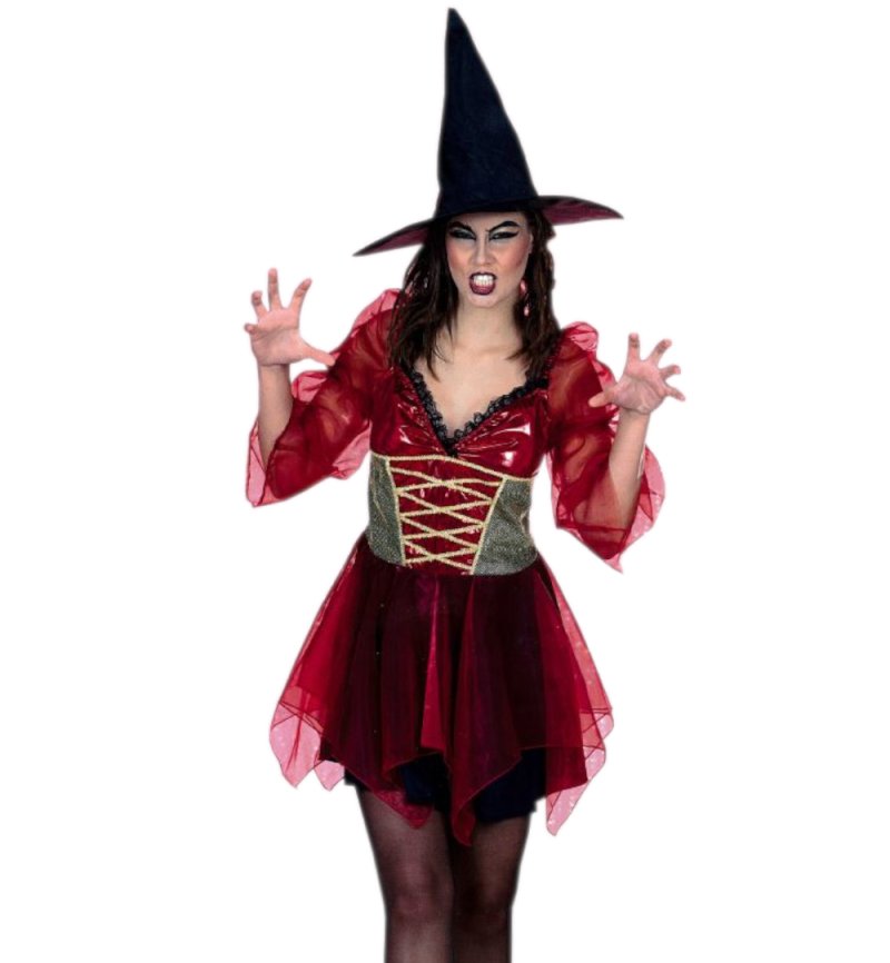 Damenkostüm Hexe Kleid und Hexenhut Zauberin Magierin