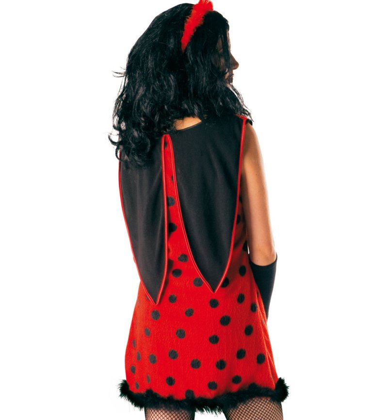 Damenkostüm "Flotter Käfer", Marienkäferkleid mit Flügeln rot-schwarz