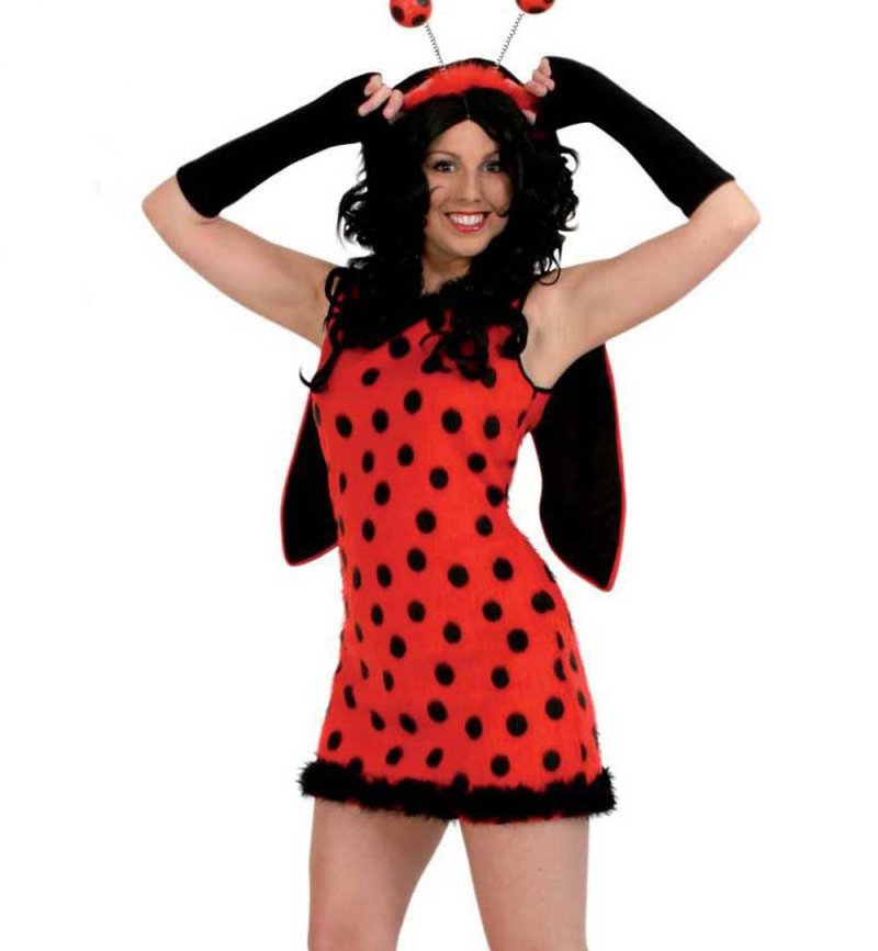 Damenkostüm "Flotter Käfer", Marienkäferkleid mit Flügeln rot-schwarz