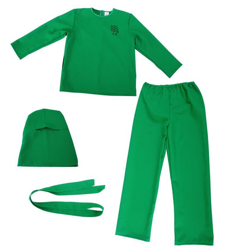 Kinderkostüm Green Ninja, Fasching, Karneval, Maskenumzug