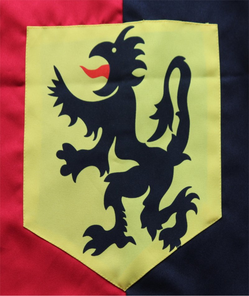 Kinderkostüm Ritter Gawain Oberteil, Karneval, Mittelalter