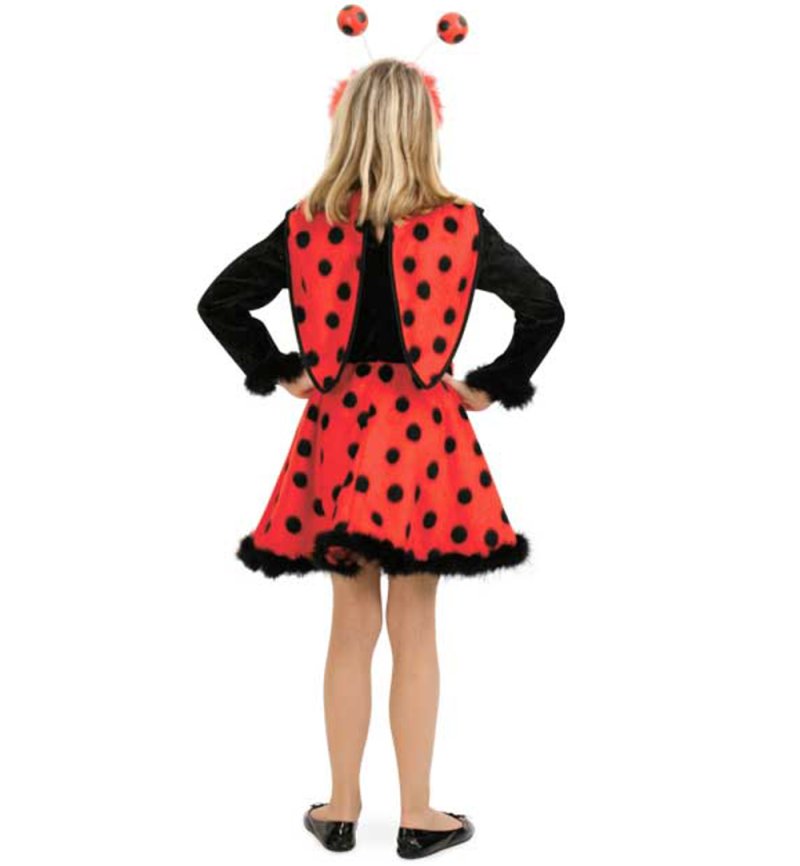 Kinderkostüm Marienkäfer Kleid mit Flügeln in schwarz-rot Glückskäfer Samtoptik