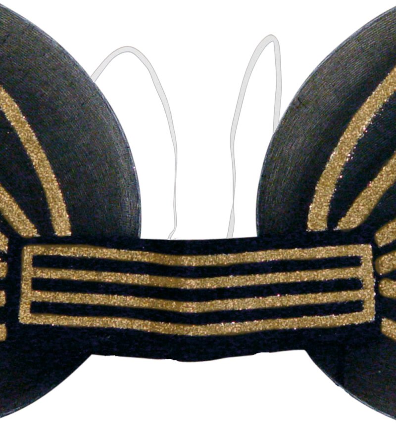 Bienchenflügel, schwarz, Karneval, Biene