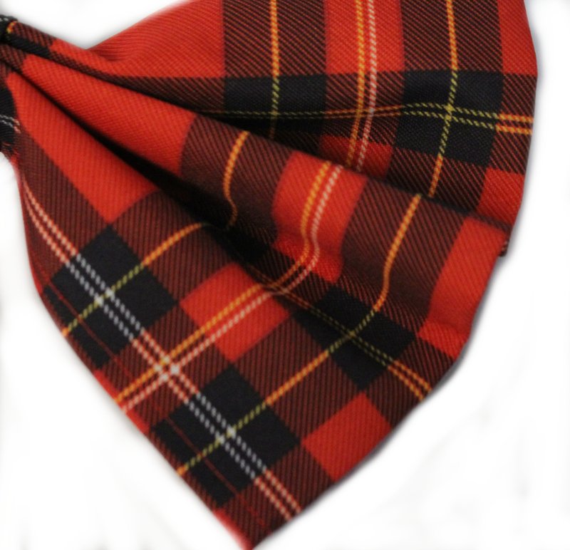 Schleife Mc Check, Karneval, Mottoparty, Accessoire, Fasching