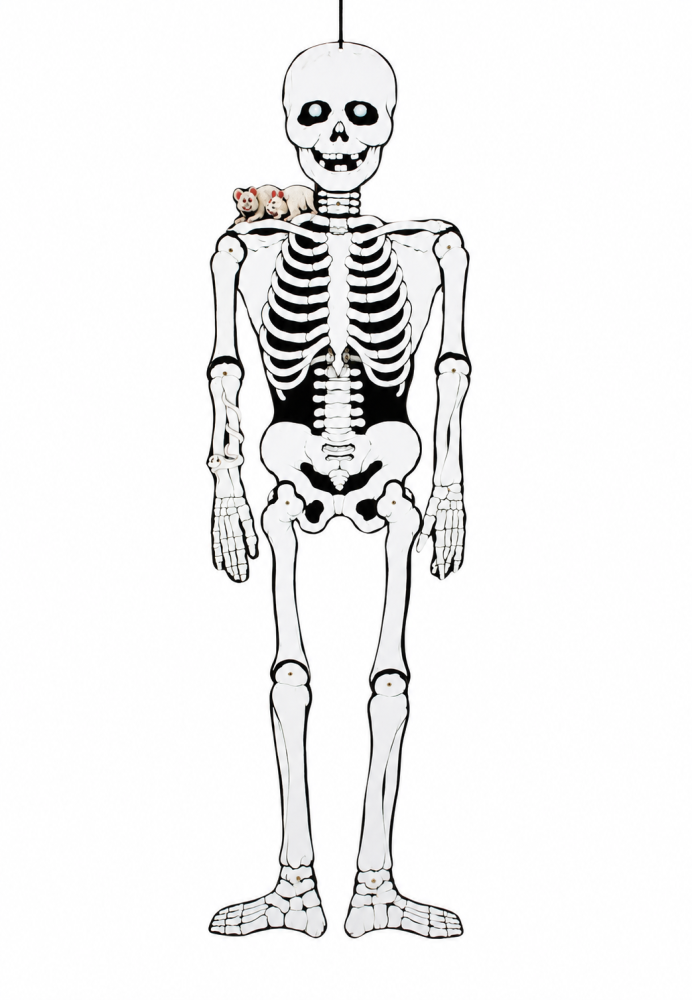 Halloween Deko-Skelett aus Pappe mit beweglichen Armen und Beinen