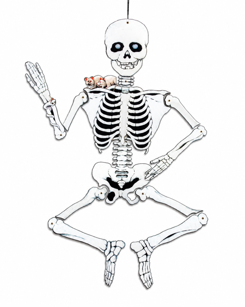 Bewegliches Halloween Deko-Skelett aus Pappe ca. 140 cm mit Mäusen