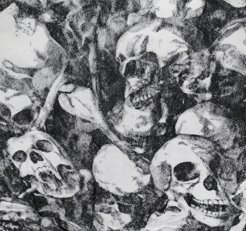 Detailansicht des Halloween Dekostoffs mit Totenkopf-Aufdruck