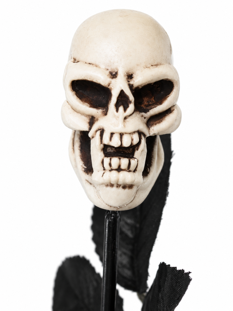 Detailaufnahme des Totenkopfs der schwarzen Halloween Horror-Rose